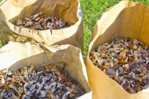 get rid of yard waste in the dallas fort worth area